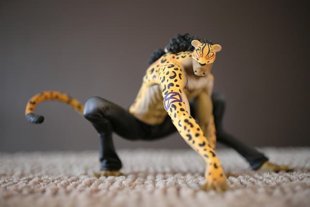 The Ultimate Guide to Collectible Items