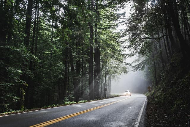 Road-trips inoubliables : Guide d'achat complet
